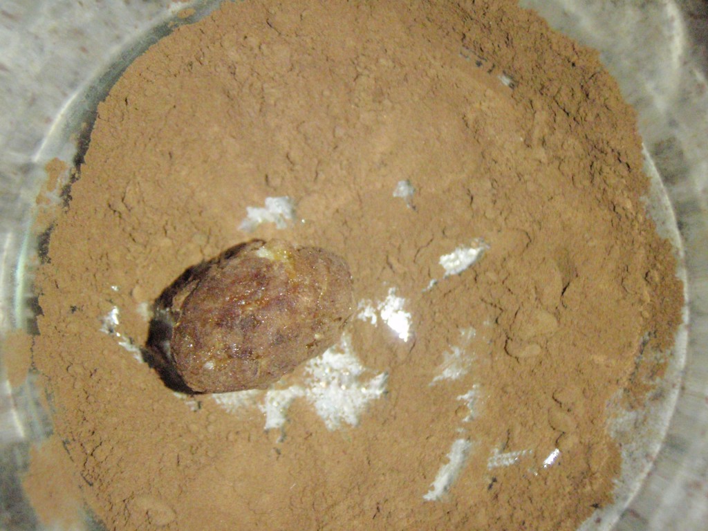 roh vegane Rezepte, fettfrei