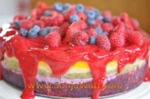 Rohkostkuchen, Früchtetorte ohne Backen, zuckerfrei, glutenfrei, vegan, roh